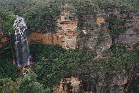 Blue Mountains Private Tour With Kangaroos & Koala Encounter - Darwin Tourism 2