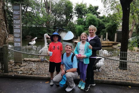 Blue Mountains Private Tour With Kangaroos & Koala Encounter - Darwin Tourism 4