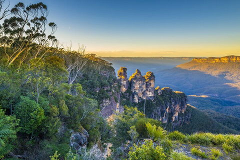 Blue Mountains Private Tour With Kangaroos & Koala Encounter - Darwin Tourism 5