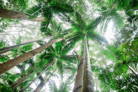 Fraser Explorer K'gari 2-Day Tour - Darwin Tourism 2