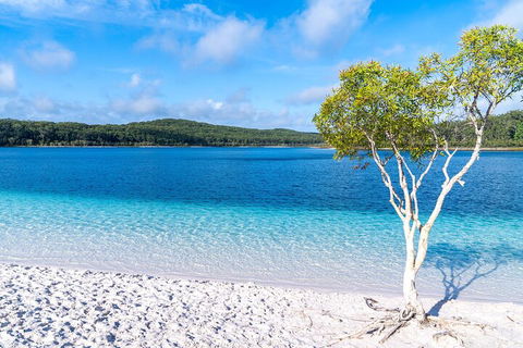 Lake McKenzie Full-Day Tour With Lunch From Hervey Bay - Darwin Tourism 1