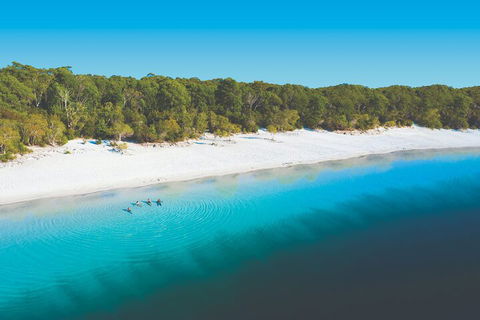 Lake McKenzie Full-Day Tour With Lunch From Hervey Bay - Darwin Tourism 4