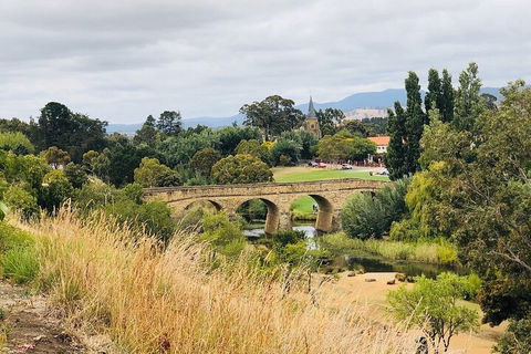 Day Tour In Mt. Field, Mt. Wellington, Bonorong Wildlife Sanctuary And Richmond - Darwin Tourism 3