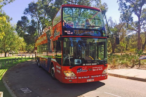 Perth Hop-On Hop-Off Bus Tour - Darwin Tourism 4
