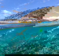 Great Barrier Reef Scenic Flight and Ocean Rafting Whitehaven Beach Day Trip - Darwin Tourism