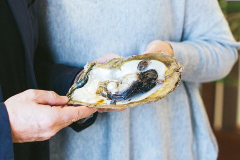 Half-Day Willie Creek Pearl Farm Tour With Helicopter Flight - Darwin Tourism 3