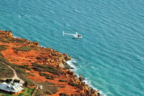 Half-Day Willie Creek Pearl Farm Tour With Helicopter Flight - Darwin Tourism 4