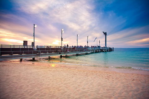 Tangalooma Island Resort Whale Watching Day Cruise With Dolphin Viewing - Darwin Tourism 3