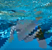 3 Day Whitsundays Sailing and Diving Adventure Kiana - Darwin Tourism