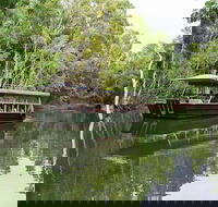 Hartley's Crocodile Adventures Breakfast with the Koalas - Darwin Tourism