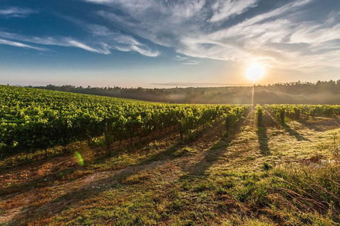 Perth To Margaret River Wine Tour - 2 Day Premium Boutique Wine Tour Experience - Darwin Tourism 0