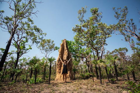 Litchfield National Park - Top End Day Tour From Darwin - Darwin Tourism 5