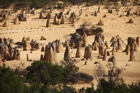 Pinnacles Sunset Dinner And Stargazing Experience A Small Group Tour - Darwin Tourism 0