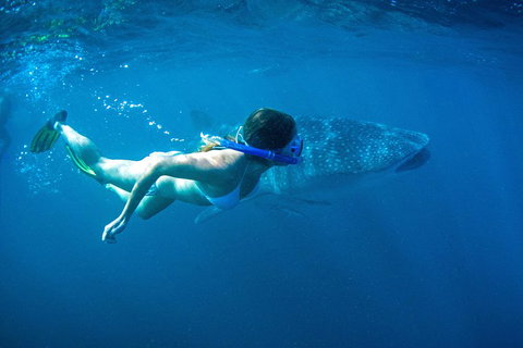 6-Day Coral Coaster From Perth To Exmouth One-Way Via Monkey Mia Ningaloo Reef - Darwin Tourism 3