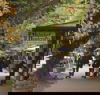 Adelaide Highlights Hahndorf  McLaren Vale Wine Tasting and Sightseeing Tour - Darwin Tourism