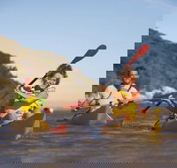 Kangaroo Island Self-Guided Kayaking on the Harriet River - Darwin Tourism