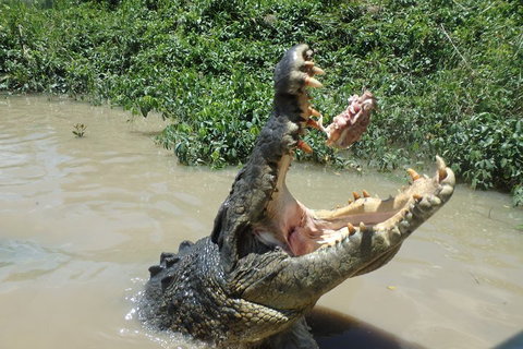 Litchfield And Jumping Crocodiles Full Day Trip From Darwin - Darwin Tourism 3