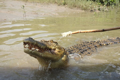 Litchfield And Jumping Crocodiles Full Day Trip From Darwin - Darwin Tourism 4