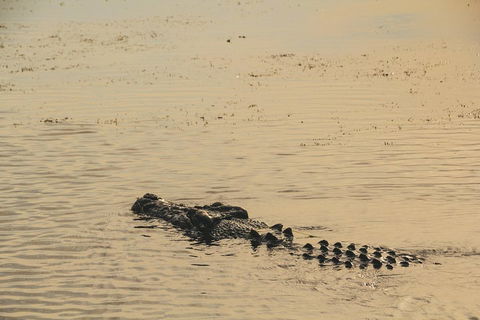 Yellow Water Cruise - Kakadu - Darwin Tourism 2