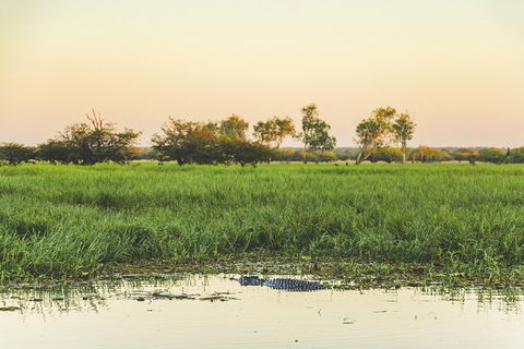 Yellow Water Cruise - Kakadu - Darwin Tourism 3