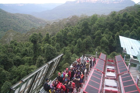 Blue Mountains Private Tour With Wildlife Park And River Cruise - Darwin Tourism 1