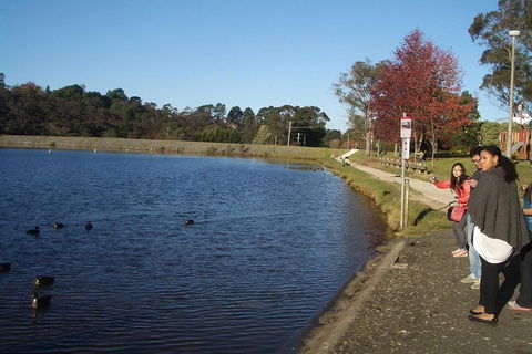 PRIVATE All-Day Blue Mountains Tour With Professional Guide For Up To 4 People - Darwin Tourism 2