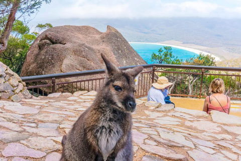 Wineglass Bay & Freycinet NP Full Day Tour From Hobart Via Richmond Village - Darwin Tourism 0