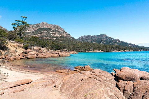 Wineglass Bay & Freycinet NP Full Day Tour From Hobart Via Richmond Village - Darwin Tourism 5