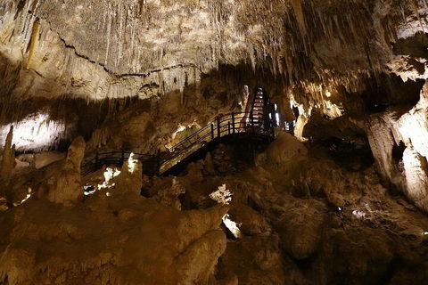 Ngilgi Cave Semi-guided Tour - Darwin Tourism 2