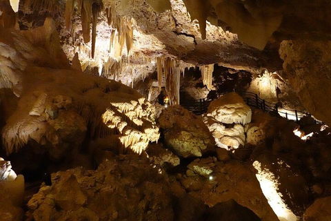 Ngilgi Cave Semi-guided Tour - Darwin Tourism 3