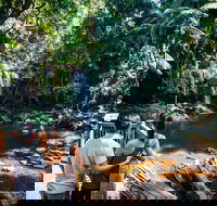 Aquaduck  Your choice of Gold Coast Rainforest Tour - Darwin Tourism