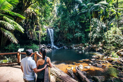 Aquaduck & Your Choice Of Gold Coast Rainforest Tour - Darwin Tourism 0