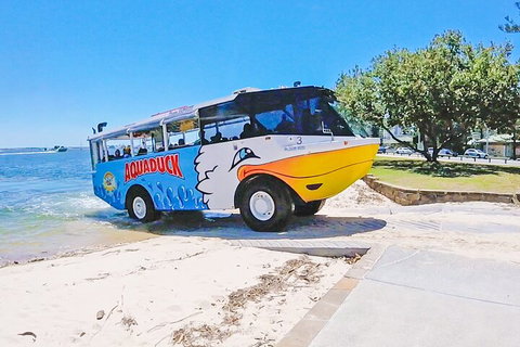 Aquaduck & Your Choice Of Gold Coast Rainforest Tour - Darwin Tourism 1