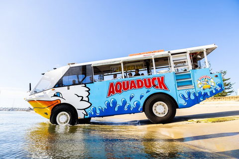 Aquaduck & Your Choice Of Gold Coast Rainforest Tour - Darwin Tourism 3