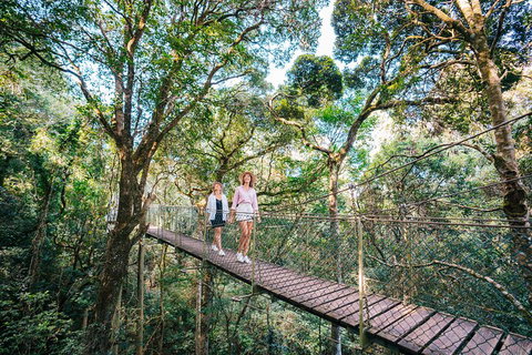 Aquaduck & Your Choice Of Gold Coast Rainforest Tour - Darwin Tourism 4