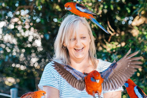 Aquaduck & Your Choice Of Gold Coast Rainforest Tour - Darwin Tourism 5