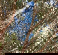 Kangaroo Island 4WD Tour - Best of KI in 2 Days - Darwin Tourism