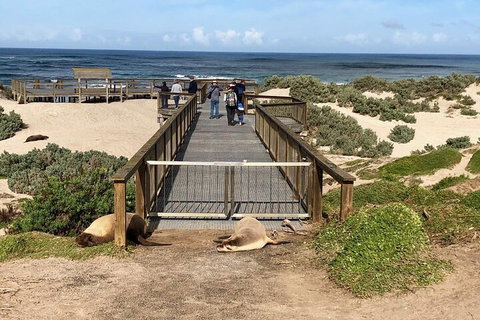 Kangaroo Island 4WD Tour - Best Of KI - Darwin Tourism 2