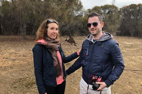 Kangaroo Island 4WD Tour - Best Of KI - Darwin Tourism 3