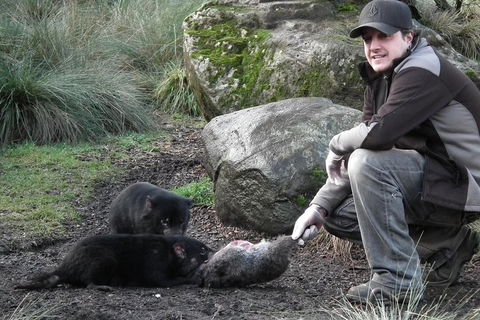 After Dark Tasmanian Devil Feeding Tour At Cradle Mountain - Darwin Tourism 2