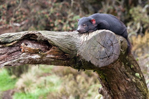 Day Keeper Tour - Darwin Tourism 0