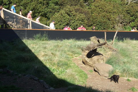 Day Keeper Tour - Darwin Tourism 2