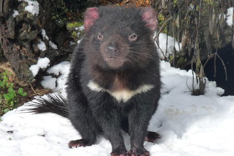 Day Keeper Tour - Darwin Tourism 4