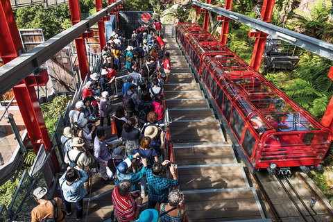 Private Guided Tour: Blue Mountains Tour From Sydney - Darwin Tourism 1