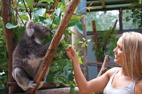 Private Guided Tour: Blue Mountains Tour From Sydney - Darwin Tourism 5