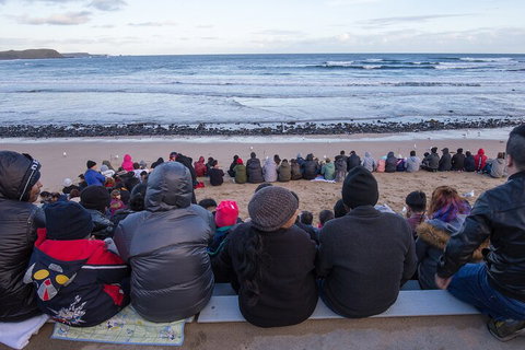 Healesville Sanctuary And Phillip Island Wildlife Bus Tour - Darwin Tourism 1