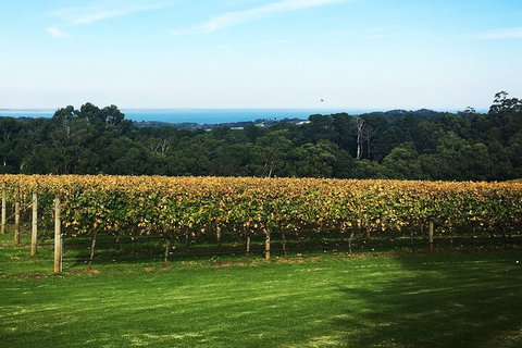 Yarra Valley Wine Tour Inc Lunch With A Glass Of Wine, Tastings And Chocolate - Darwin Tourism 2