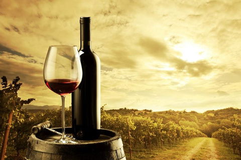 Barossa Valley Cellar Doors Luxury Wine Tour - Darwin Tourism 0
