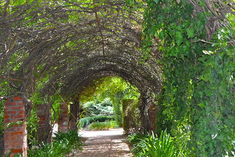 Barossa Valley Cellar Doors Luxury Wine Tour - Darwin Tourism 3