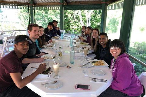 Natural Bridge, Skywalk And Mt Tamborine Adventure! - Darwin Tourism 0